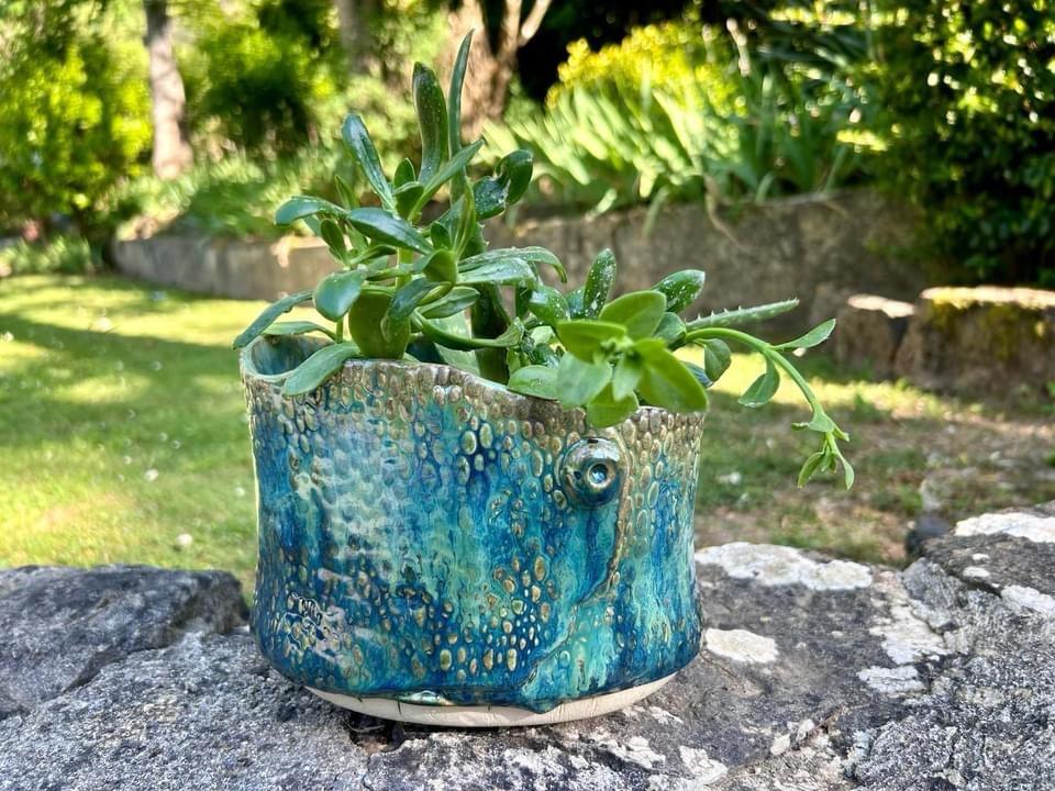 Dragonfly planter by Lynne Spaight