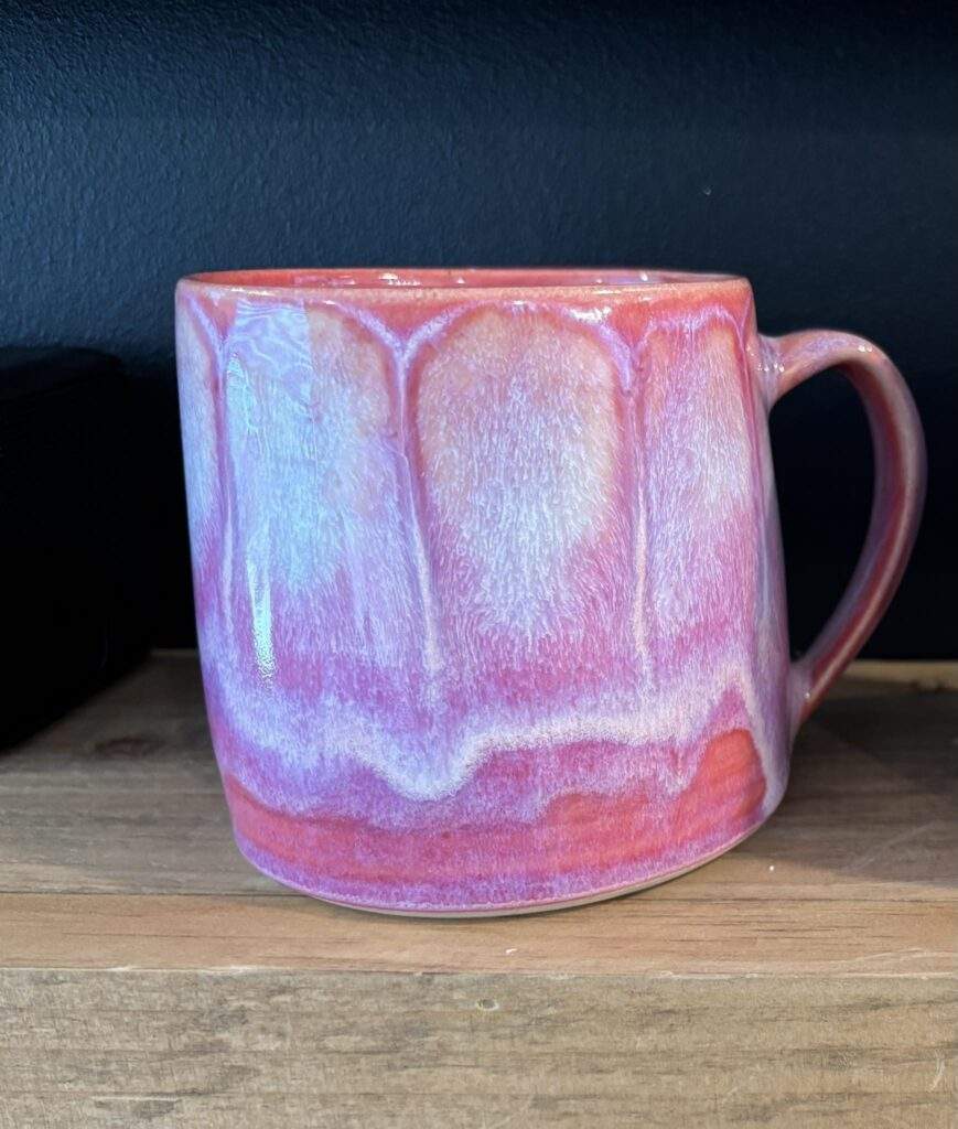 Bougainvillea RHC Debra Cake